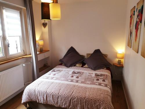- une chambre avec un lit avec deux oreillers et une fenêtre dans l'établissement Pauline's home - city center & parking, à Colmar