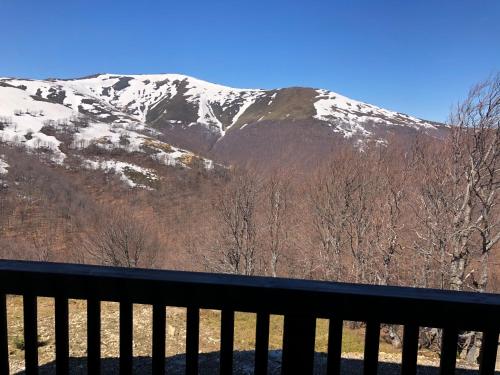 a view of a snow covered mountain from a bench at Vershyna in Pilipets