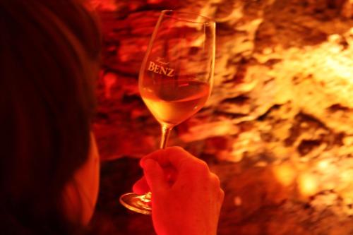 a person holding a glass of wine in front of a fire at BENZ Weingut & Weinhotel in Lauda-Königshofen