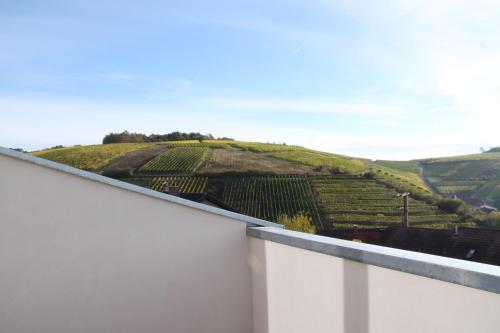 a view of a vineyard from a roof at BENZ Weingut & Weinhotel in Lauda-Königshofen