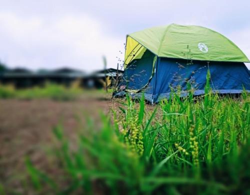 a blue and green tent in the middle of a field at Jungle retreat dandeli - Homestay in Joida