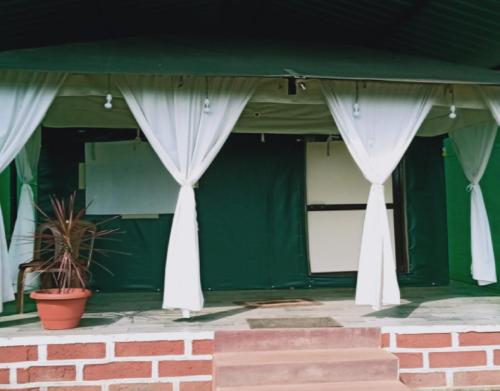 ein grünes Gebäude mit weißen Vorhängen und einer Topfpflanze in der Unterkunft Jungle retreat dandeli - Homestay in Joida