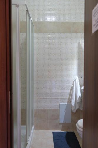a bathroom with a shower and a toilet at Bed & Breakfast Il Golfo in Naples