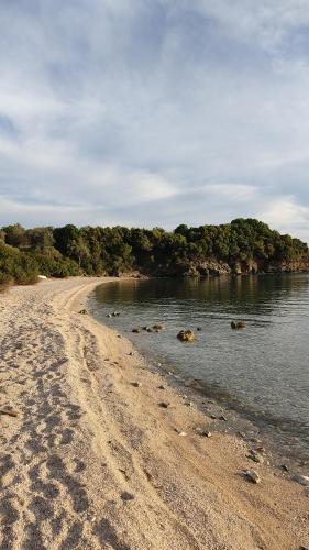 a sandy beach with trees in the water at Koutadelias rooms in Kálamos