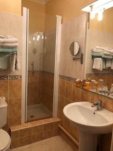 a bathroom with a shower and a sink and a toilet at Chateau De Mesnac, maison d hote et gites in Mesnac