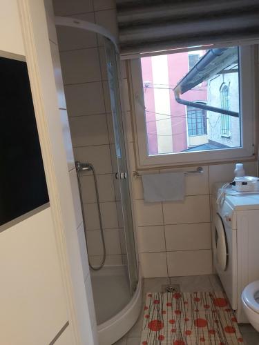 サラエボにあるSarajevo City Hall Apartment FREE WIFIの小さなバスルーム(シャワー、トイレ付)
