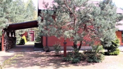 a tree in a yard next to a building at Dom nad Narwią - cisza spokój rzeka jezioro in Rogóźno