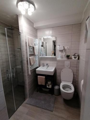 a bathroom with a toilet and a sink and a shower at Apartments Pepe in Novigrad Istria