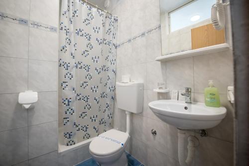 ein Bad mit einem WC, einem Waschbecken und einer Dusche in der Unterkunft Picić Guesthouse in Luka