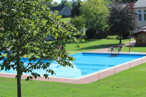 a large swimming pool in a yard with a tree at Sonnenhof Ottrau in Ottrau