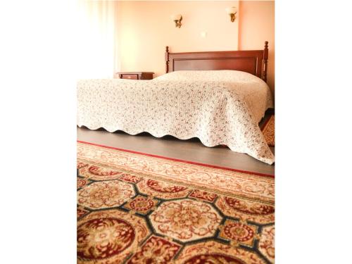a bedroom with a bed and a rug at Vila Roma in Deva
