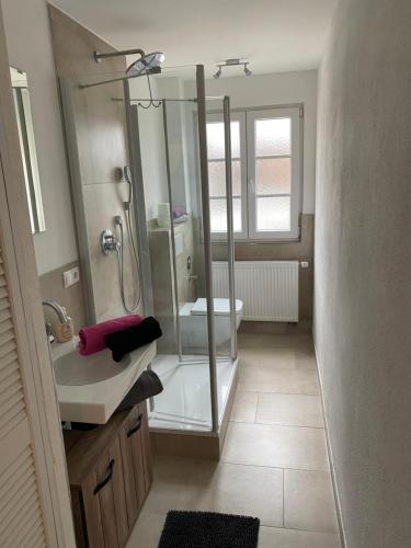 uma casa de banho com um chuveiro, um lavatório e um WC. em Ferienwohnungen Jakobsberg em Bamberg