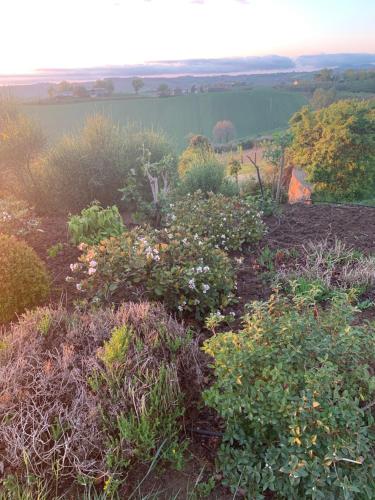 a garden with flowers and plants on a hill at Relais Il Margarito in Montefano