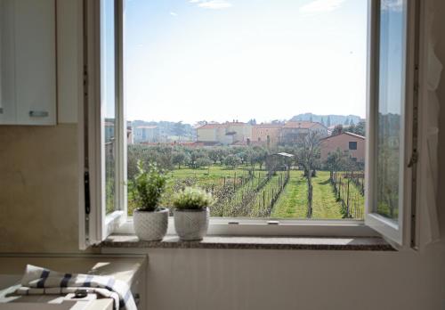 a kitchen window with two potted plants on a ledge at KARBONACA APARTMENTS in Fažana