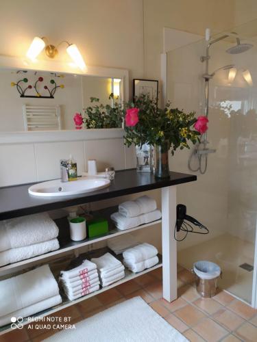 W łazience znajduje się umywalka, lustro i ręczniki. w obiekcie Suite dans Une Echoppe w mieście Bègles
