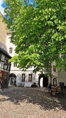a large white building with a tree in front of it at Hotel Cranach-Herberge City Centre in Lutherstadt Wittenberg