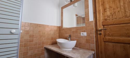 布多尼的住宿－Azienda Agrituristica La Janna di la Faj，门旁的柜台上设有盥洗盆的浴室