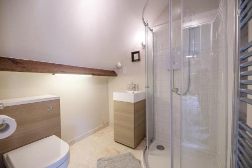 a bathroom with a shower and a toilet and a sink at Red House Loft East Green Air Manage Suffolk in Saxmundham