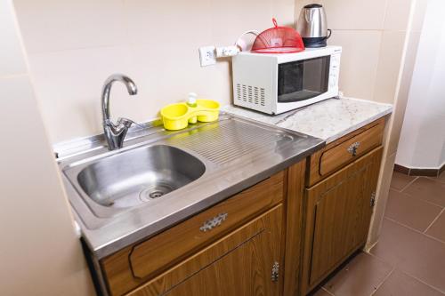a kitchen with a sink and a microwave at Casa do Amial in Castelo de Paiva