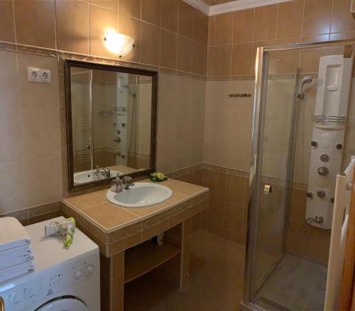 a bathroom with a sink and a shower at Relax Apartman in Hajdúszoboszló