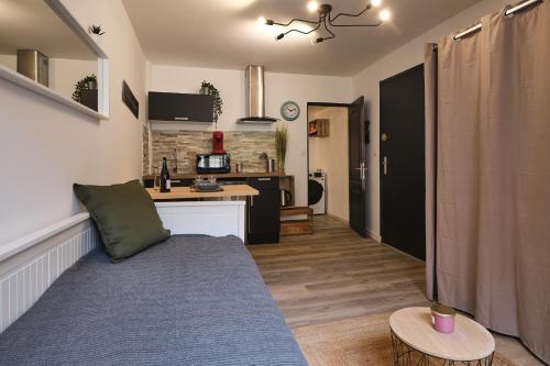 un salon avec un canapé et une cuisine dans l'établissement Marius - studio au cœur de la bastide, à Carcassonne