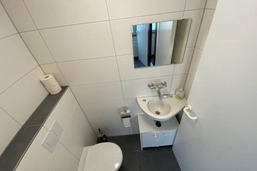 a small bathroom with a toilet and a sink at Tübingen - auf dem Österberg - free parking in Tübingen