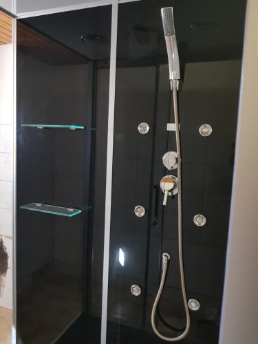 a shower with a glass door with a shower head at FeWo Am See in Schluchsee