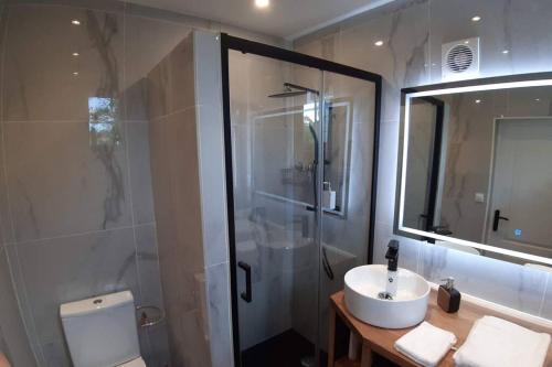 uma casa de banho com um chuveiro, um lavatório e um WC. em La Petite Maison Dans la Vallée em Avallon
