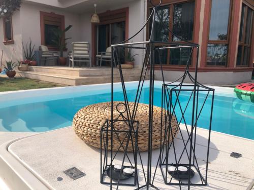 two black metal sculptures next to a swimming pool at VISTA Villa in Belek