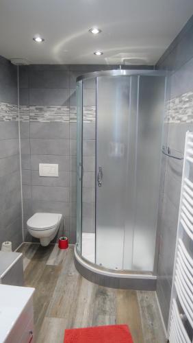 a bathroom with a shower and a toilet at Penzion Na Hradbách in Louny