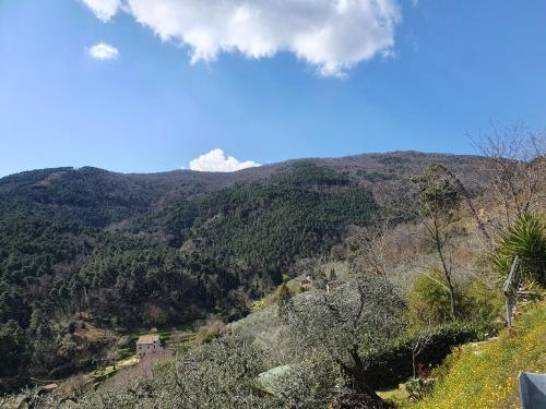 Gallery image of Pietra d'Acqua B&B in the woods in Buti