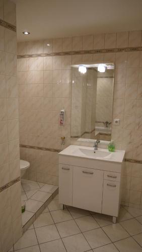 a bathroom with a sink and a mirror at Penzion Na Hradbách in Louny