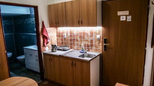 a small kitchen with a sink and a bathroom at Penzion Na Hradbách in Louny