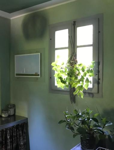 a plant in a vase in front of a window at Casina Morgana B&B in Novafeltria
