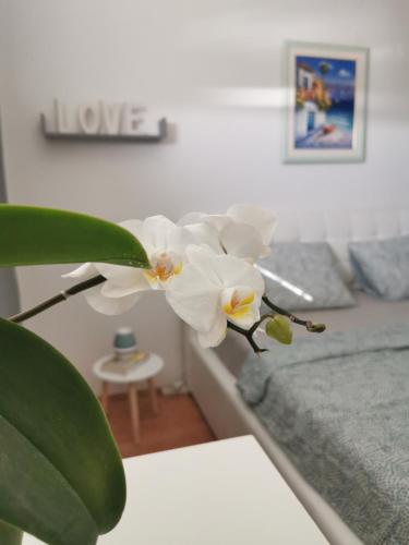 Eine weiße Blume steht auf einem Tisch in einem Schlafzimmer. in der Unterkunft Kenzo apartment in Senj