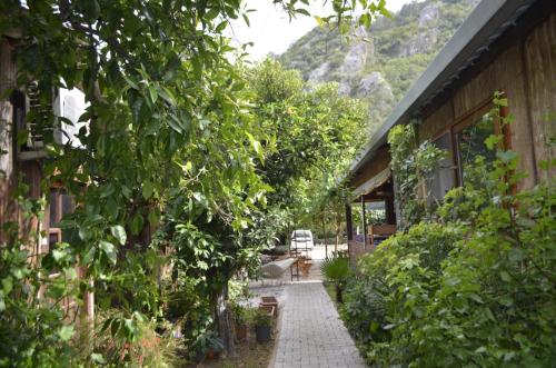 Photo de la galerie de l'établissement mercan pension, à Olympos