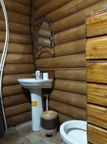 a bathroom with a sink and a toilet at Barbu Ionel in Băile Herculane
