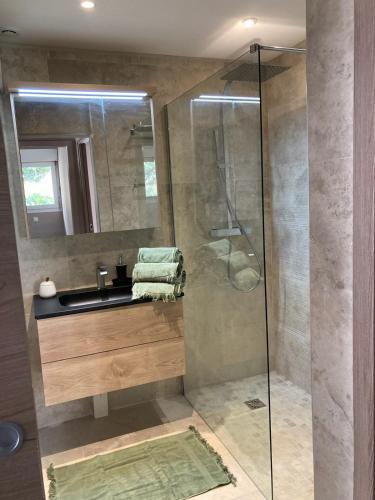 une salle de bain avec une douche avec un lavabo et un miroir dans l'établissement Villa Del Mar Bord de mer Palm Beach Cannes, à Cannes