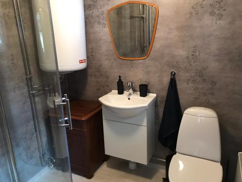 W łazience znajduje się umywalka, toaleta i lustro. w obiekcie Lilla Stubbetorp w mieście Vimmerby