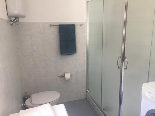 La salle de bains est pourvue de toilettes et d'une douche en verre. dans l'établissement Borgonovo Penthouse, à Pizzo