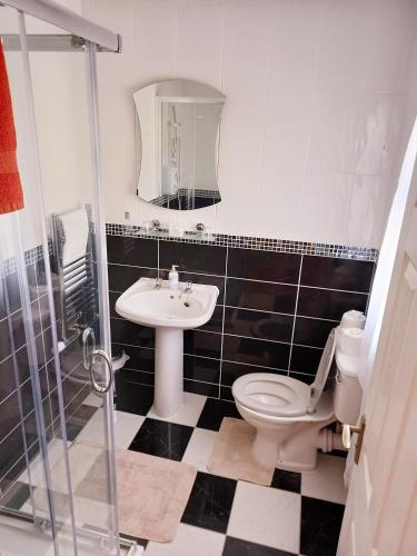 a bathroom with a toilet and a sink at A New U Country Cottage Apartment 2 in Valentia Island