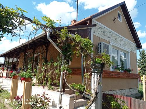 a house with a tree leaning against it at Olga Vendégház in Abádszalók