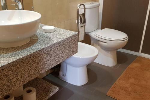 uma casa de banho com um lavatório e um WC em Casa Bento Moura Portugal em Moimenta da Serra