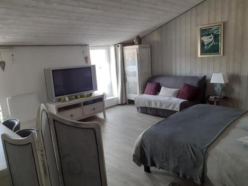 - un salon avec un lit, une télévision et un canapé dans l'établissement Belle de nuit, à Le Trait dʼUnion