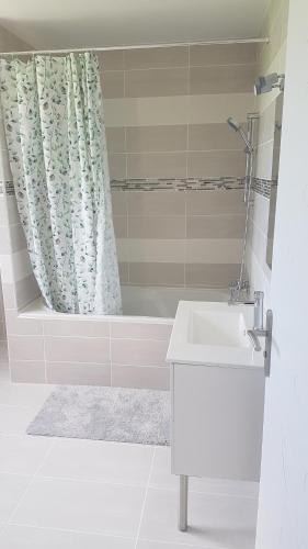 baño con lavabo y cortina de ducha en Villa 2 luxe, en Fresney-le-Vieux