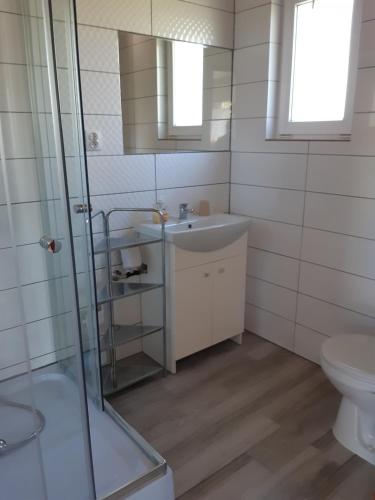 a bathroom with a sink and a shower and a toilet at Olszanka in Olchowiec