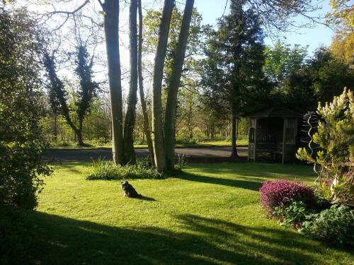 Κήπος έξω από το Folly Studio Bed and Breakfast