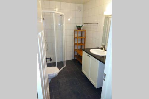 a bathroom with a toilet and a shower and a sink at Apartment Gaustablikk in Gaustablikk