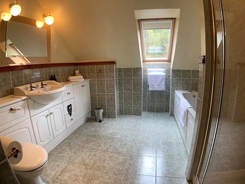 a bathroom with a sink and a toilet and a shower at Ardno House B & B in Glencoe