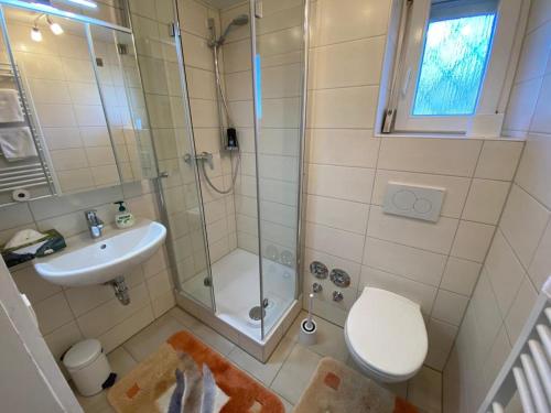 a bathroom with a shower and a toilet and a sink at Ferienwohnung Sonnenhang 3 in Albstadt